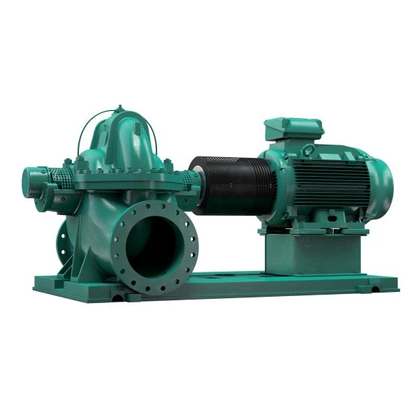 Double Suction Water Pump