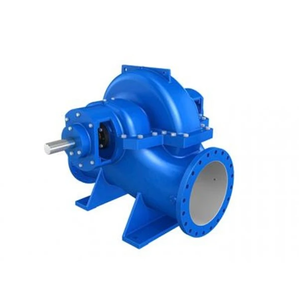 Double Suction Water Pump